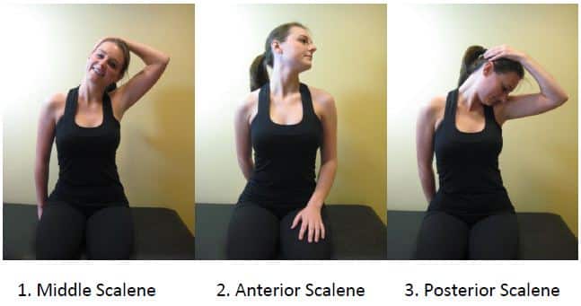 Neck Muscles Stretches